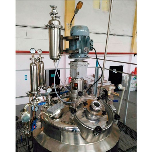 Reactor with turbine stirrer